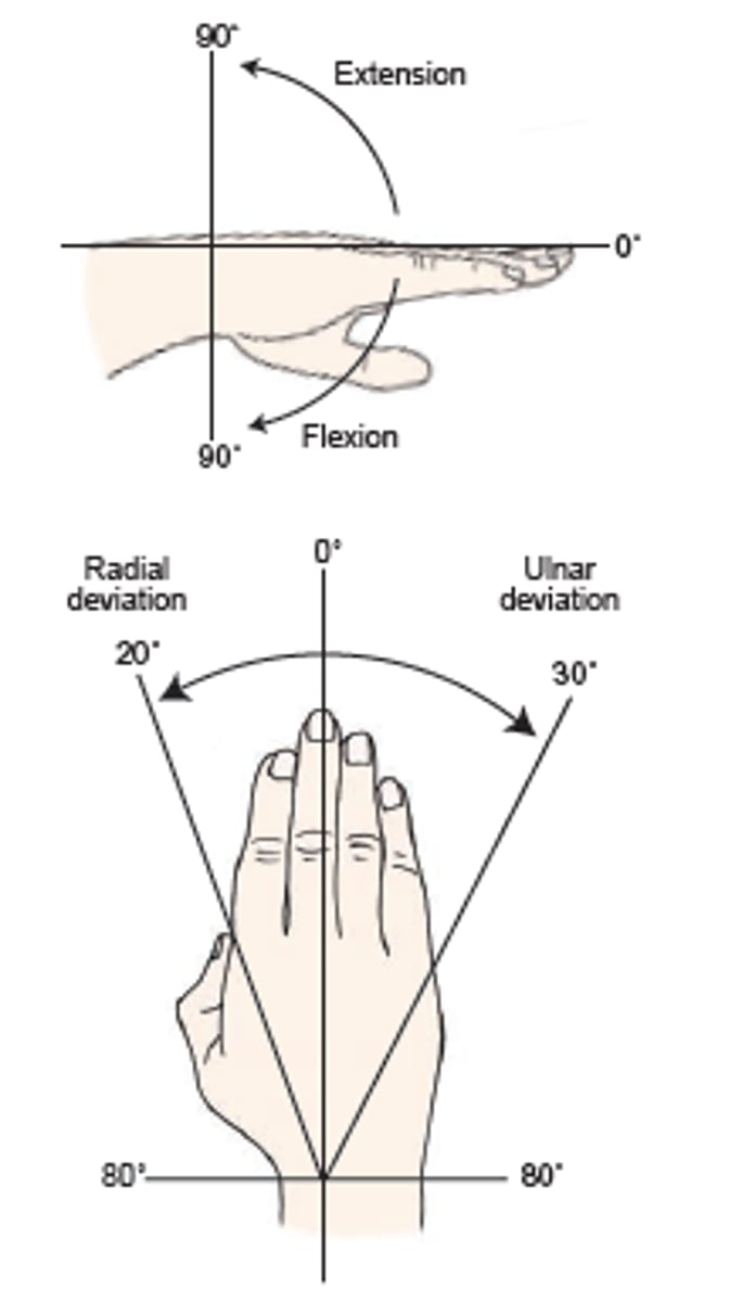 <p>- flexion 0-80</p><p>- extension 0-70</p><p>- Radial Dev 0-20</p><p>- Ulnar Dev 30-40</p>