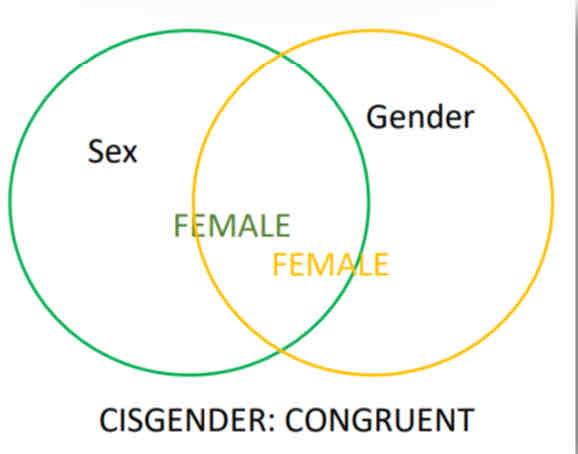 <p>Congruence</p>