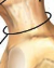 <p>Connect the vertebral body to the lamina</p>