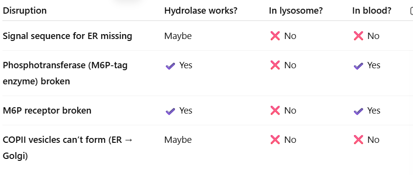 <p>be familar w this</p>