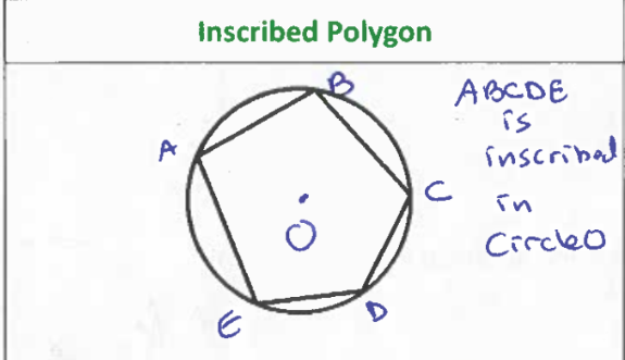 <p>All vertices lie on the circle </p>