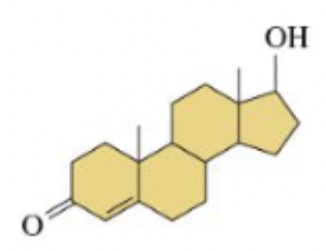 <p>Hormones that control the development of male sex characteristics.</p><p>ex: facial hair, muscle mass</p><p>dependent on tissues</p><p>aka testosterone</p>