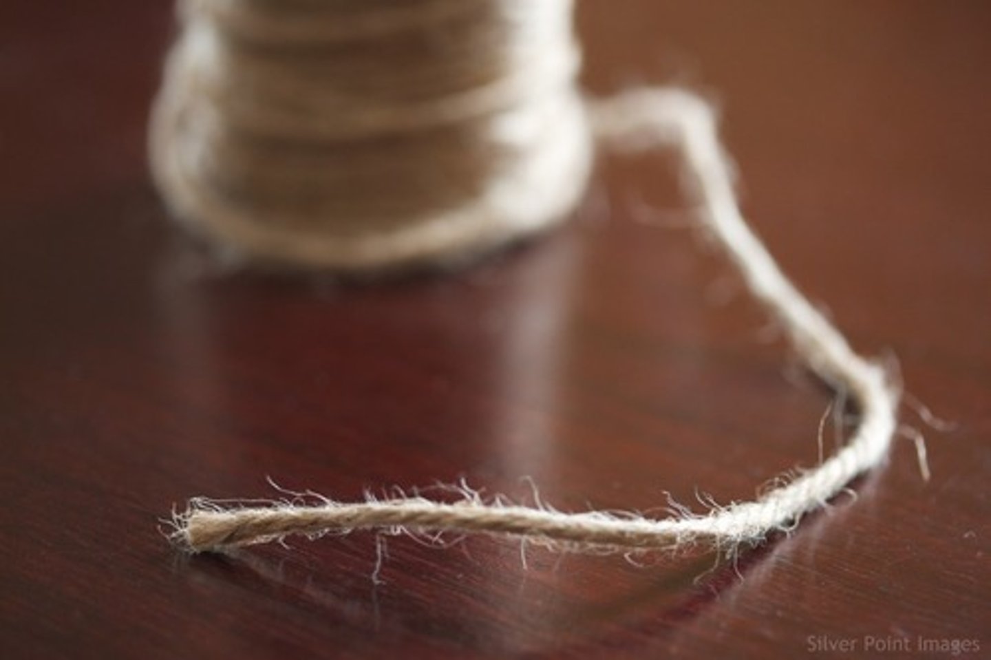 <p>the area of acceptable sharpness in front of and behind the subject which the lens is focused. put simply, it refers to how blurry or sharp the area is around your subject.</p>