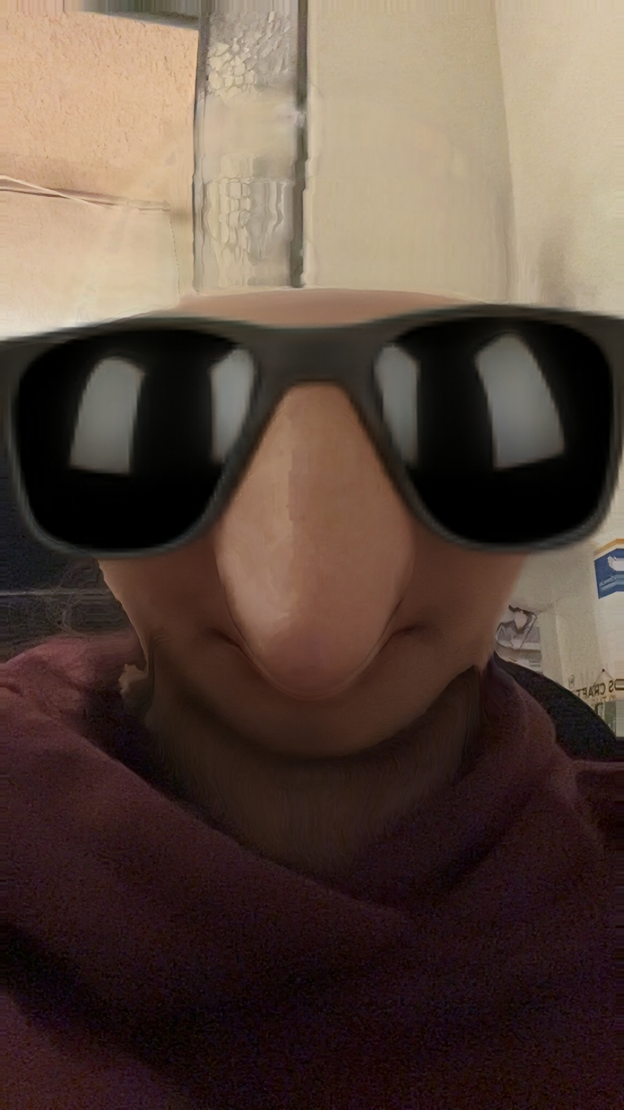 <p>De inteligencia rápida.</p>