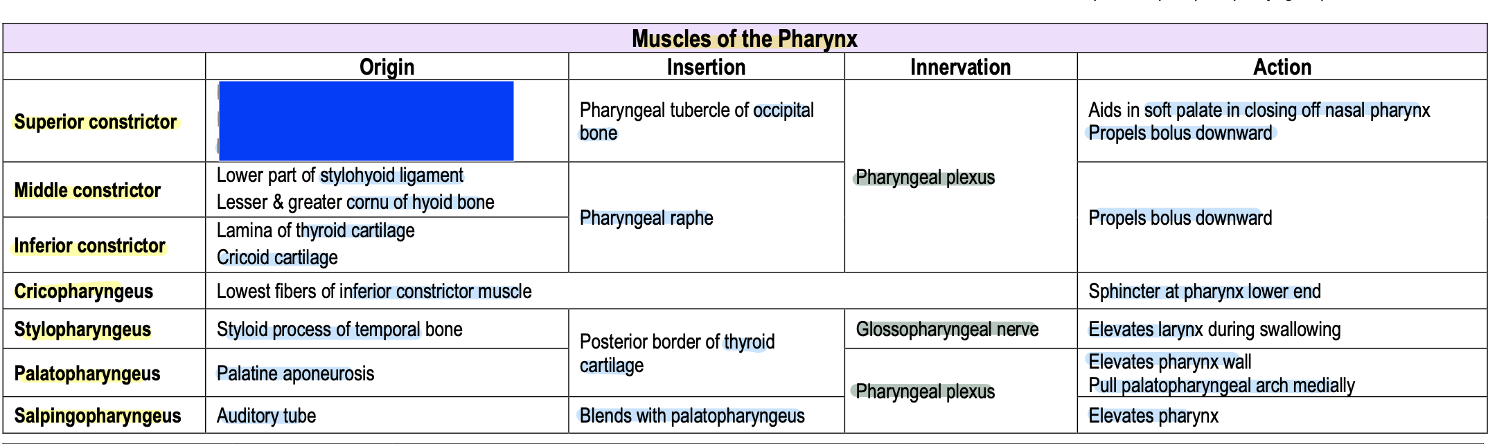 knowt flashcard image