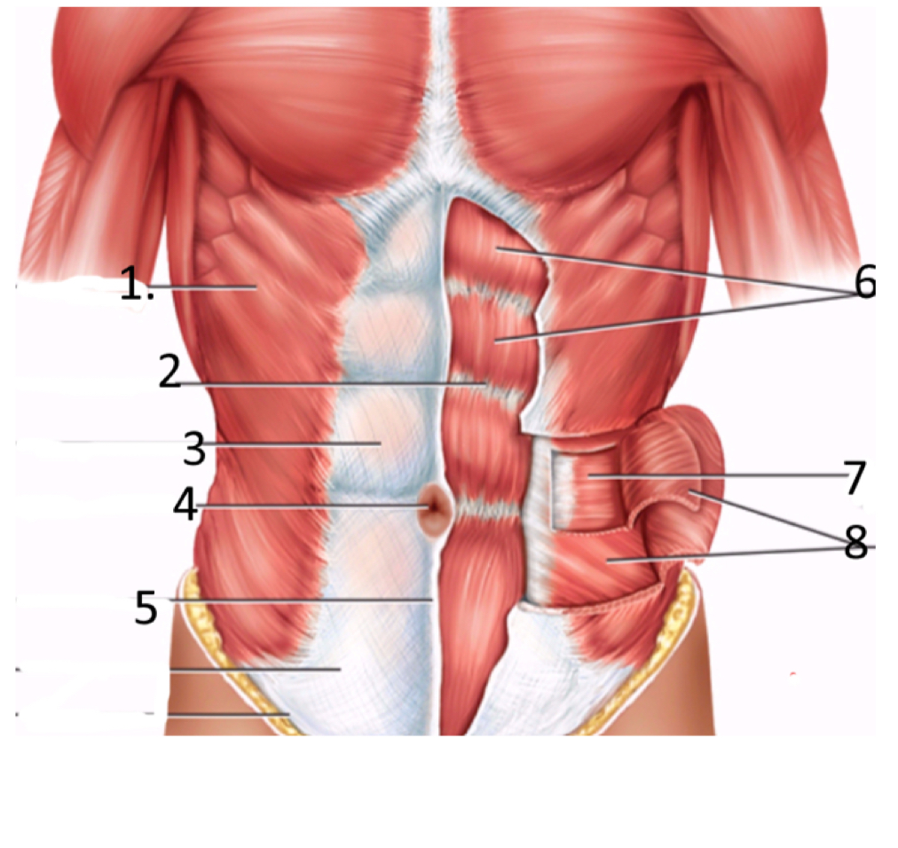 <p><span>What is the name of feature 4?</span></p>