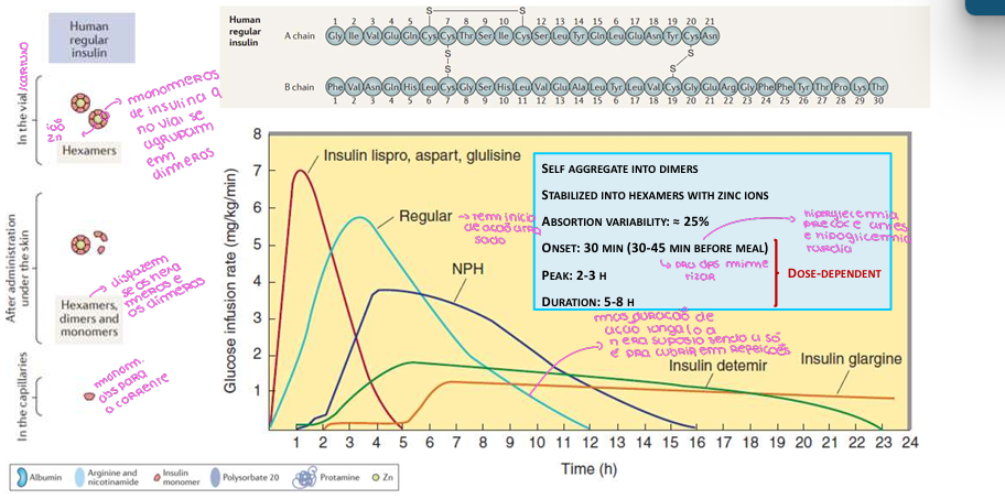 <p>Insulina Regular</p>