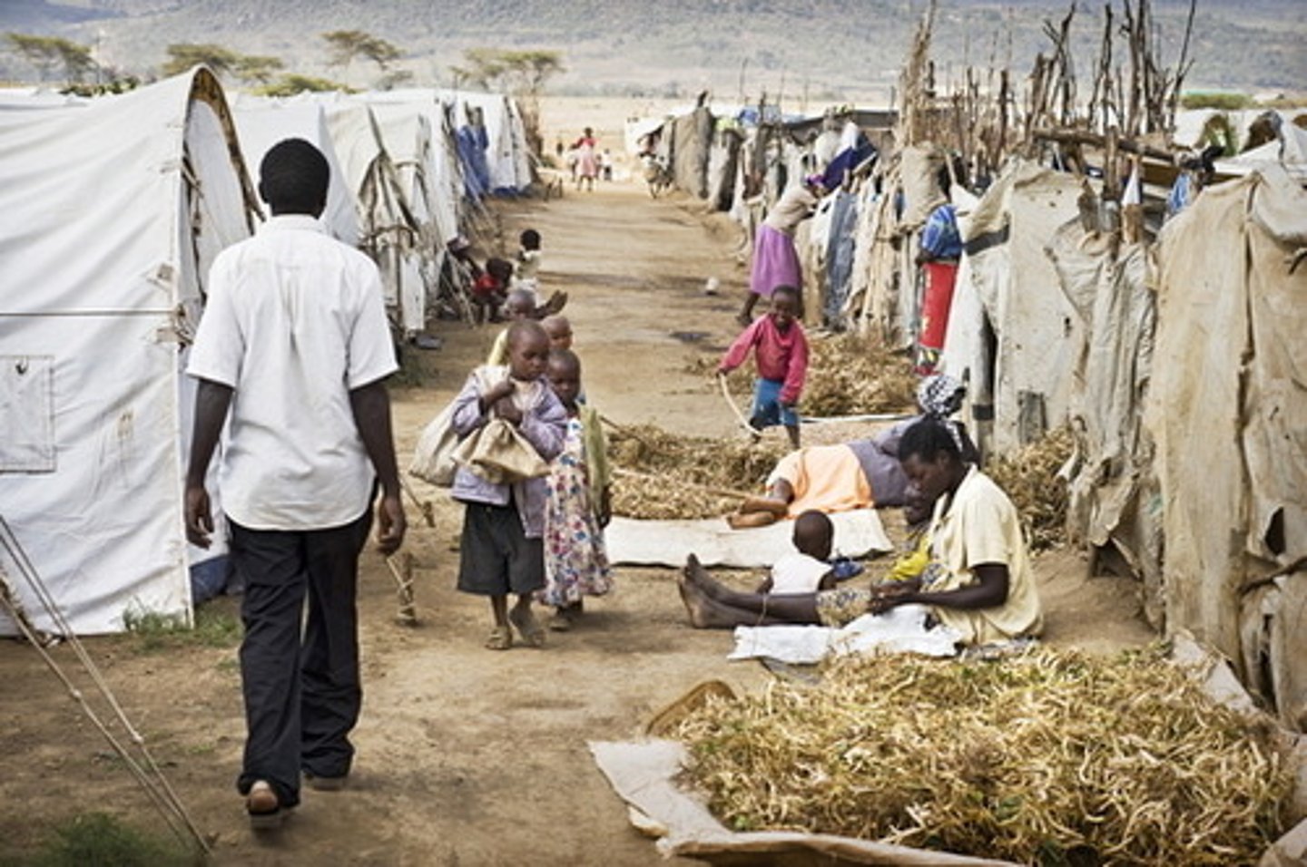 <p>Someone who has been forced to migrate for similar political reasons as a refugee but has not migrated across an international border</p>