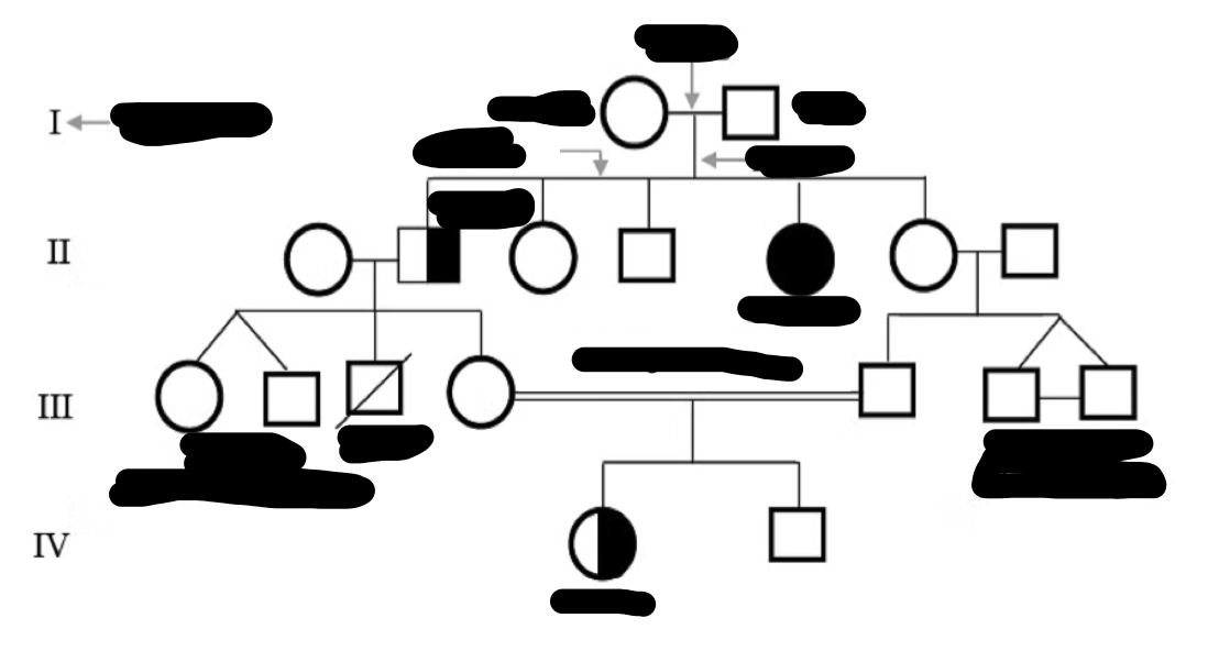 <ul><li><p>monozygotic</p></li><li><p>affected</p></li><li><p>sibling</p></li><li><p>male</p></li><li><p>female</p></li><li><p>mating</p></li><li><p>descent</p></li><li><p>dizygotic</p></li><li><p>death</p></li><li><p>carrier</p></li><li><p>generation</p></li><li><p>carrier</p></li><li><p>consanguineous mating</p></li></ul><p></p>
