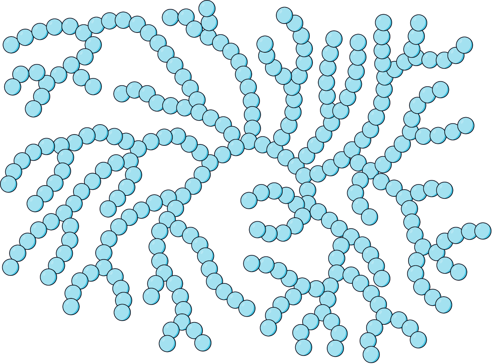 <p><strong>Glycogen (Storage in Animals)</strong></p>