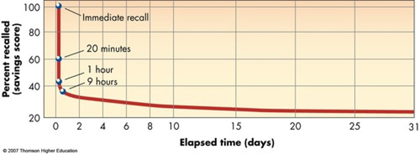 <p>Most forgetting occurs soon after initial learning. After about 3 days the function flattens and very litter is forgotten from then on.</p>