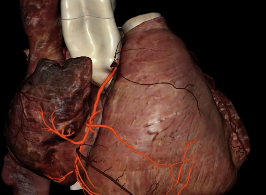 <p>What is highlighted in red?</p>