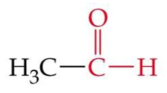 <p>ID this structure by its common name</p>