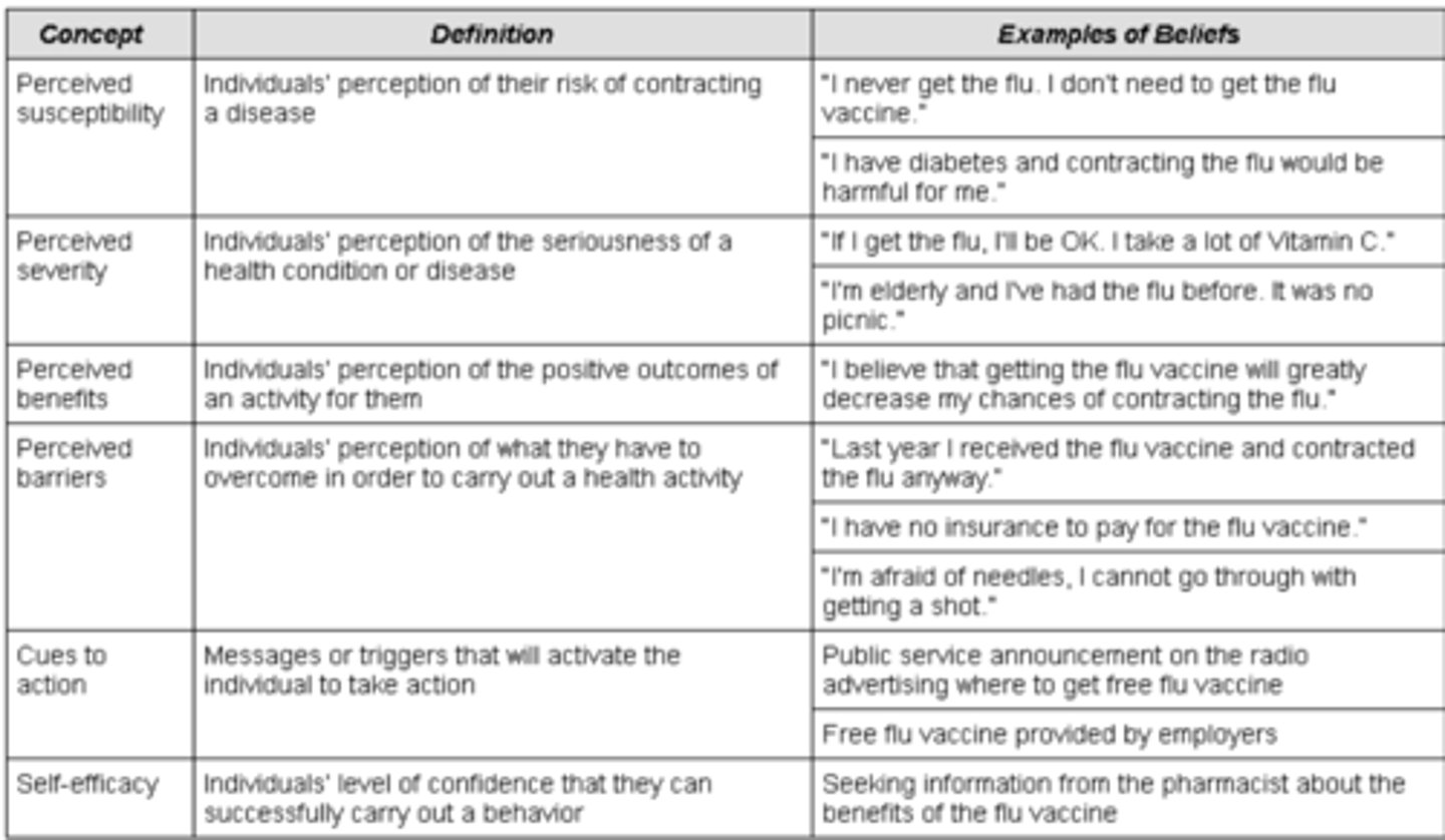 <p>- Susceptibility: "I don't ever get the flu. I don't need a vaccine"</p><p>- Severity/Seriousness: "If I get the flu, I'm young and will just get over it"</p><p>- Benefit: "I think getting the vaccine is better than getting the flu"</p><p>- Barriers: "It is too far to drive to get a flu vaccine"</p><p>- Cues to action: public service announcement on radio, free flu vaccine prompted by employer</p><p>- Self-efficacy: Seeking information about the benefits of the flu vaccine </p>