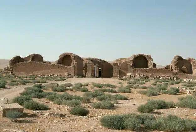 <p>place of origin</p>