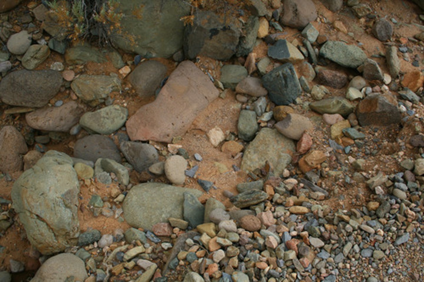 <p>small, solid pieces of material that come from rocks or living things</p>