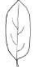 <p>Oblong</p>