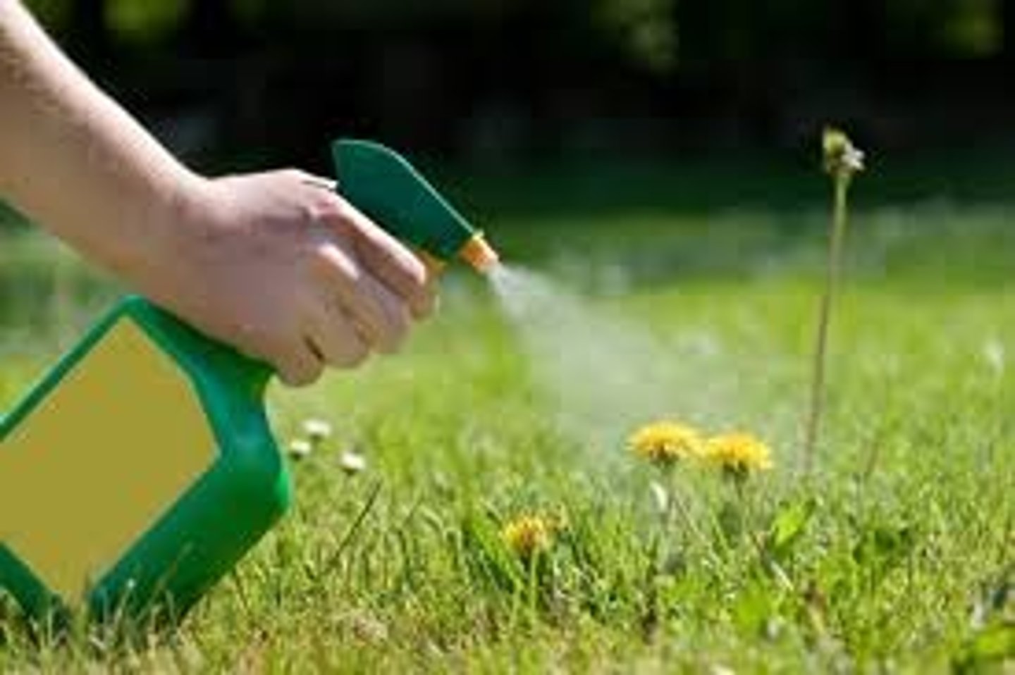 <p>n Thuốc diệt cỏ</p><p>Herbicides are widely used in agriculture to kill unwanted plants.</p>