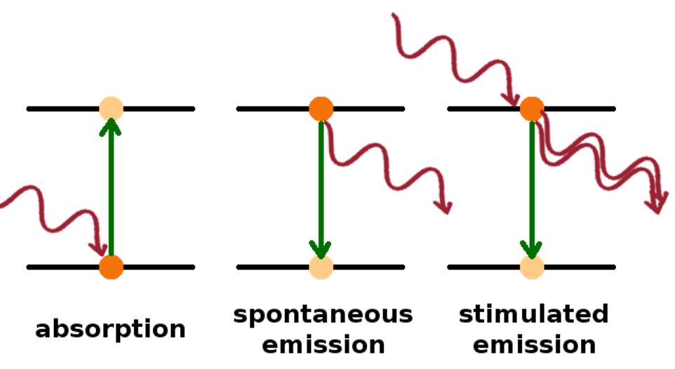 <p>The operation of a laser depends upon the net production of “<em>stimulated</em>” emission.</p>