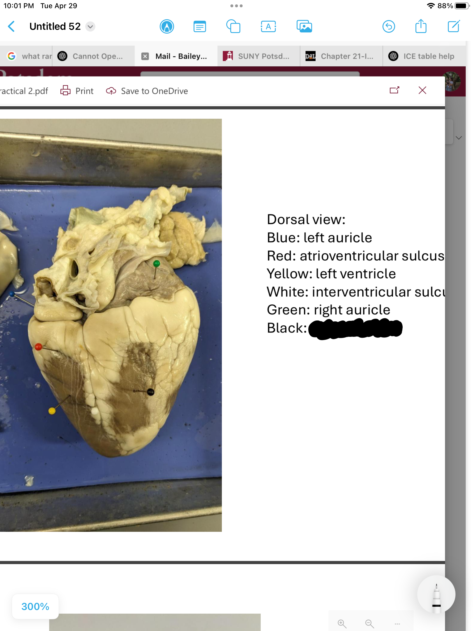 <p>label the area</p>