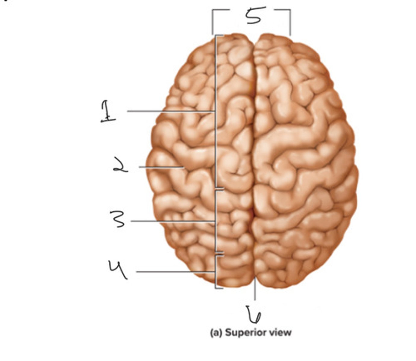 <p>What is number 1</p>