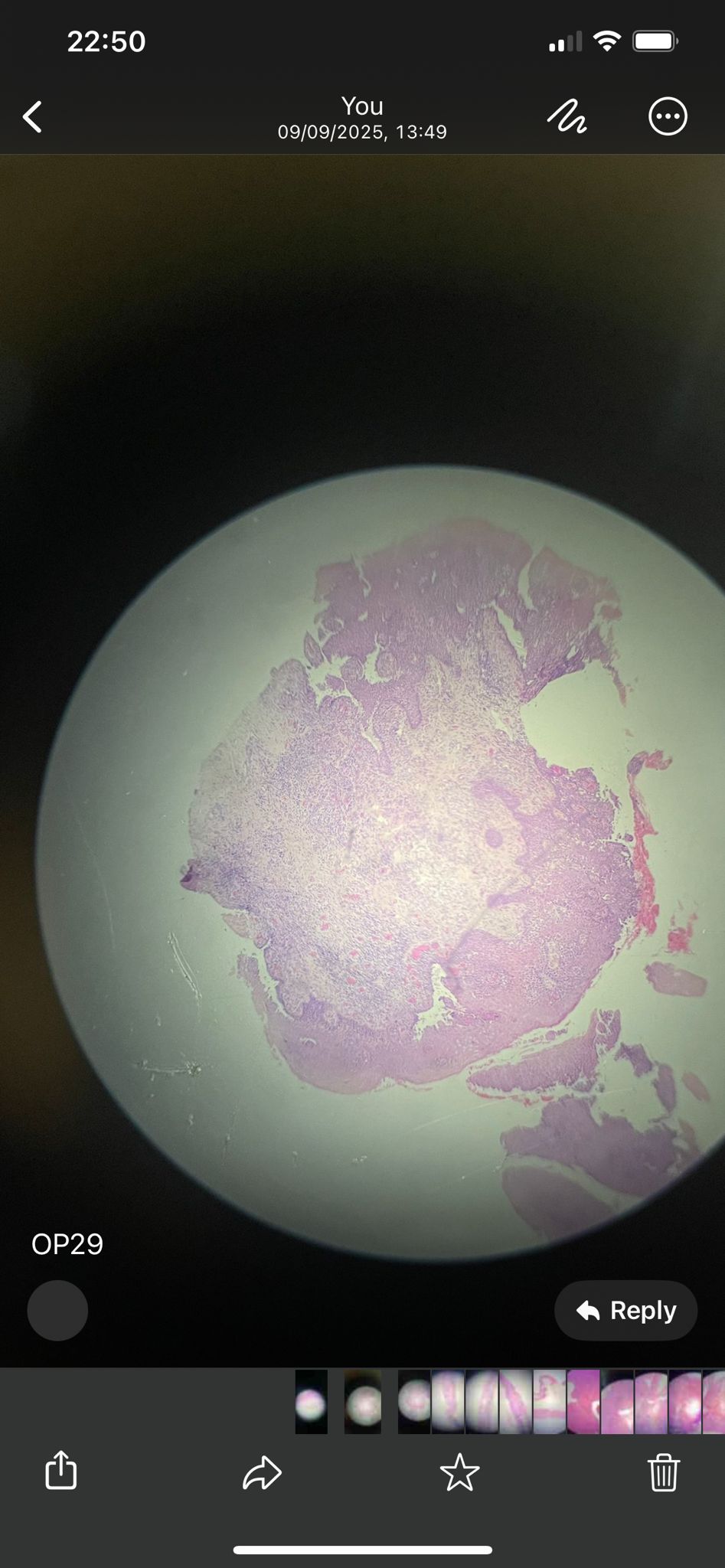 knowt flashcard image