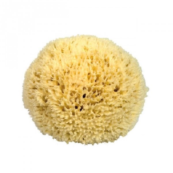 <p>Bath sponge</p>