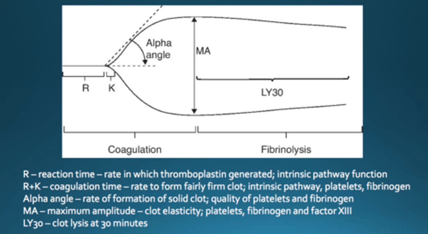 <p>A cup of whole blood rotates around a pin that detects resistance as clotting occurs</p>