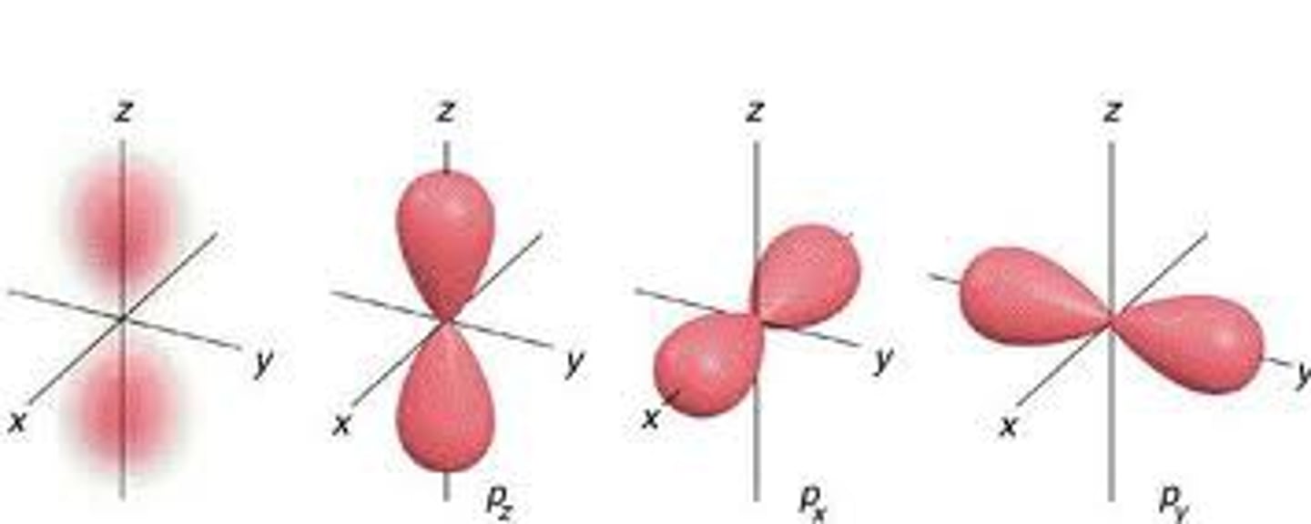 <p>3 orbitals (6 electrons)</p>