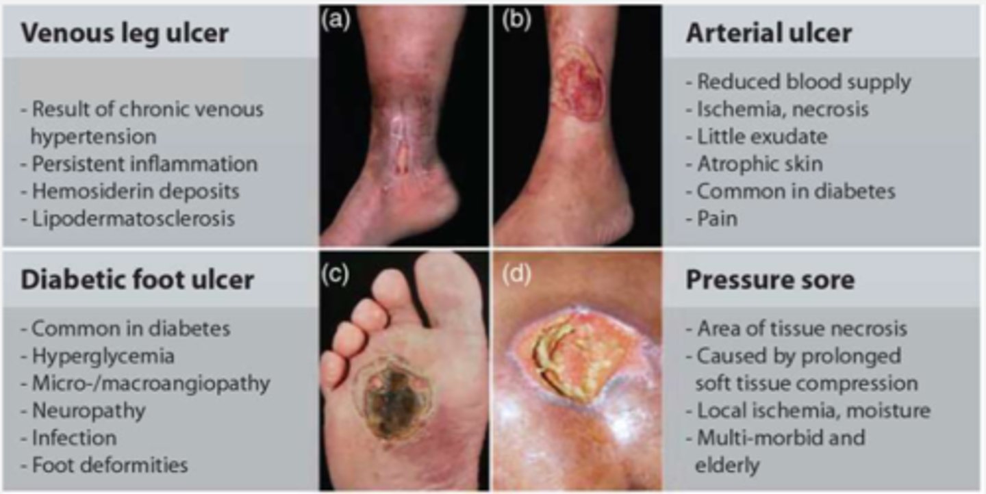 <p>REFER TO IMAGE</p>