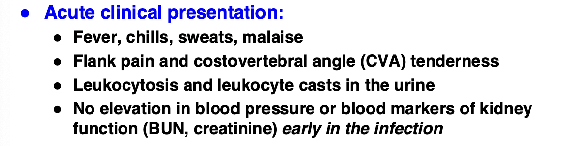 <ul><li><p>inflammation triggered by a bacterial infection</p></li><li><p>infection can involve renal parenchyma, calyces or pelvis</p></li><li><p>over 80% of infections arise from an <em>ascending UTI </em>with fecal bacteria (E. coli and others). UTI involving kidney is a complicated UTI and is more difficult to treat</p></li><li><p>10% are caused by a blood infection due to bacteremia, often with Staphylococcus (IV drug use)</p></li></ul><p></p>