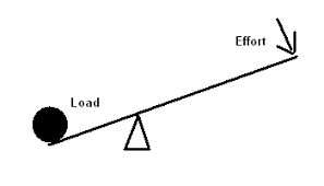 <p>Load vs Effort in Simple Machines</p>