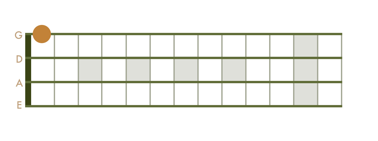 <p> 1sr Fret - G String</p>