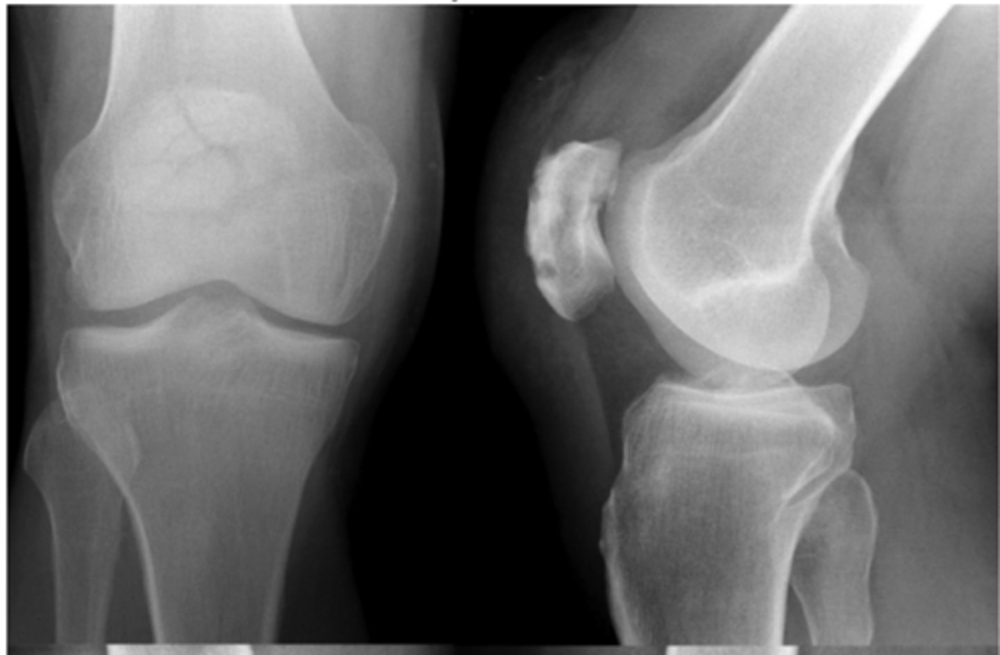 <p>Define the pathology.</p>