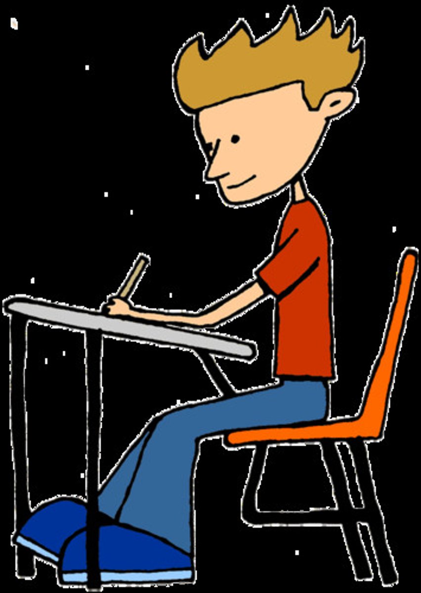 <p>a student (male)</p>