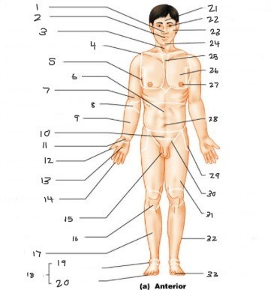 <p>#10</p>