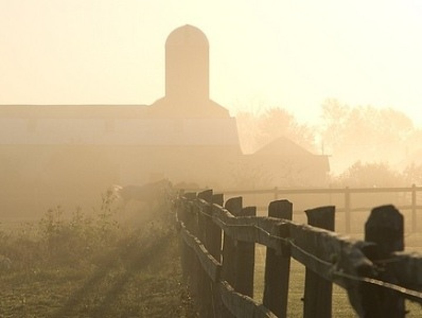 <p>Reduced visibility from particulate matter.</p>