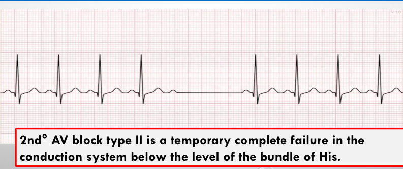 <p>what is this?</p>