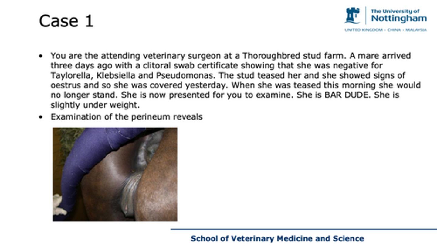 <p>case 1 - what does this image suggest, what stage does her behaviour suggest she's in</p>