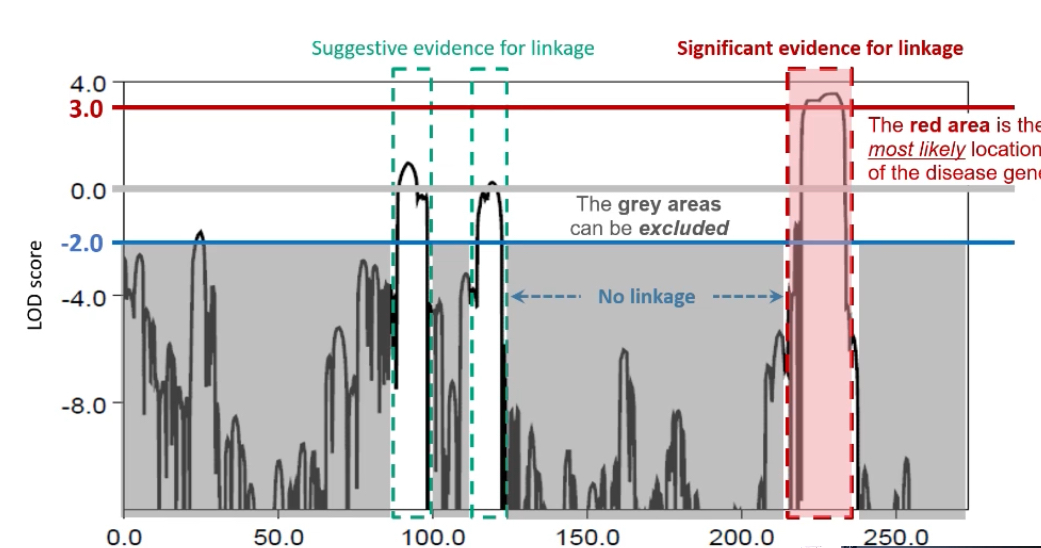 <p><span>LOD ≥ 3: Significant evidence for linkage (odds of 1000:1 that loci are linked).</span></p><p class="p1"></p><p class="p1"><span>LOD ≤ -2: Evidence against linkage.</span></p><p class="p1"><span>Scores between -2 and 3 are inconclusive and require more data.</span></p><p class="p1"></p><p class="p1"><span>Approximately p = 0.05, which is considered genome-wide significance for linkage.</span></p>