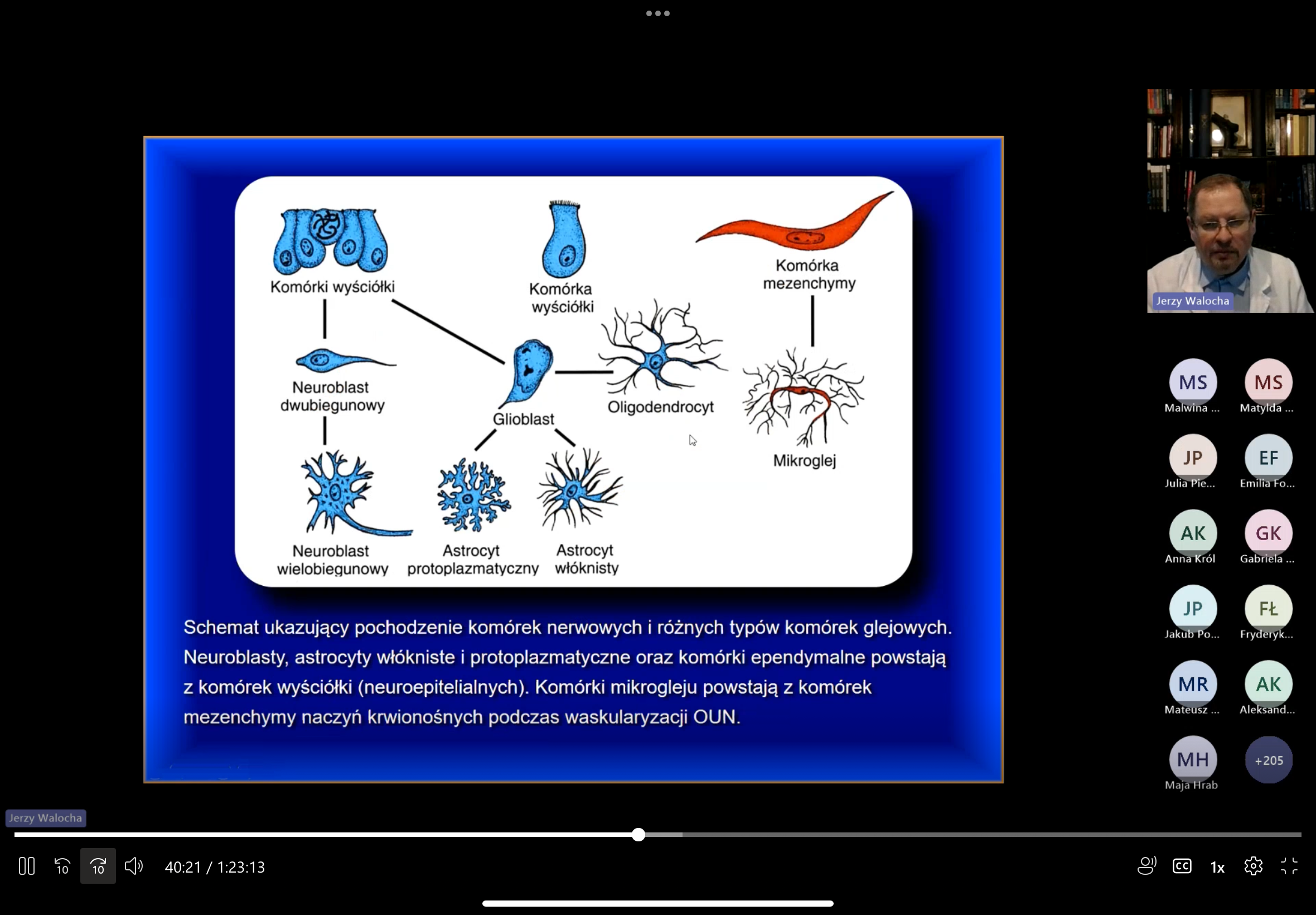 <p>komórek wyściółki (ependymy)</p><p>jeszcze przed powstaniem astrocytów i oligodendrocytów glioblast</p>