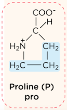 <p>nonpolar, aliphatic R group</p>