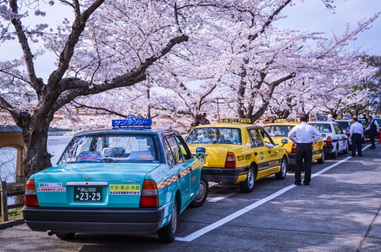 <p>tắc-xi (taxi)</p>