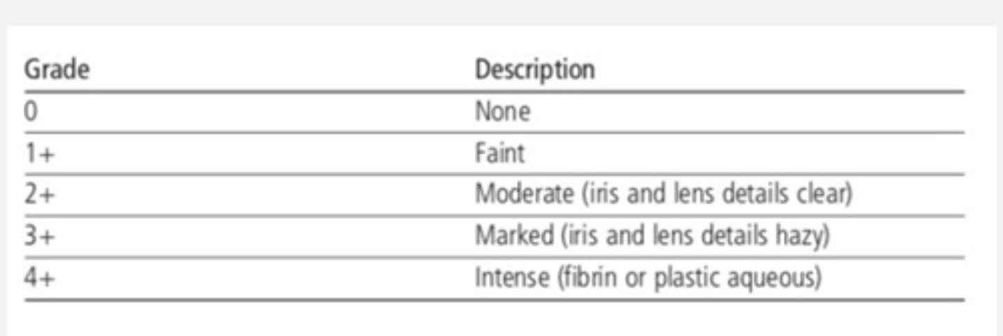 <p>stickiness in angle --> posterior iris synechiae --> angle closure</p><p>how much cells move can determine the amount of flare</p>