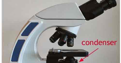 <p><span style="color: rgb(77, 81, 86)">Two lenses that focus light and improve sharpness. </span></p>