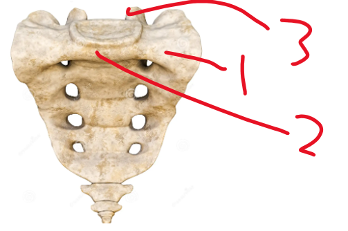 <p>Name structure 1</p>