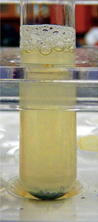 <p><span><span>After addition of nitrate reagents A and B, your tube remains colorless. Is your testing for nitrate complete?</span></span><br></p>