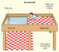 <p>An experiment created by Eleanor Gibson that is used to determine when infants can perceive depth. It involves placing an infant on one side of a glass-topped table, creating the impression of a cliff. The experiment found that children old enough to crawl will not crawl across the glass, I'm playing they have depth eprception</p>