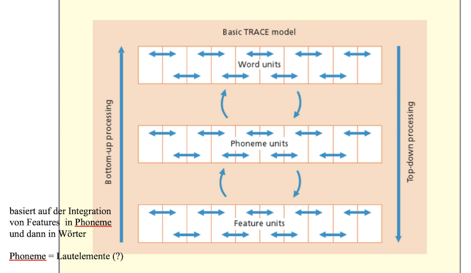 <ul><li><p>Simuliert die Sprachverarbeitung im Gehirn</p></li><li><p>Basis: Bei der Sprachverarbeitung werden Spuren im  Gehrin gebildet, die vorherige Wörter und werden Bedeutung repräsentieren. </p><p></p></li><li><p><strong>Belohnung</strong>: Rolle des konzeptuellen Verständnisses und der Vorhersage bei der Sprachverarbeitung</p></li><li><p>Es gibt Interaktive Aktivation in Netzwerkmodell, was bedeutet, dass Knoten sch gegenseitig beeinflussen und ein kohärentes Aktivitätsmuster erzeugen.</p></li></ul>