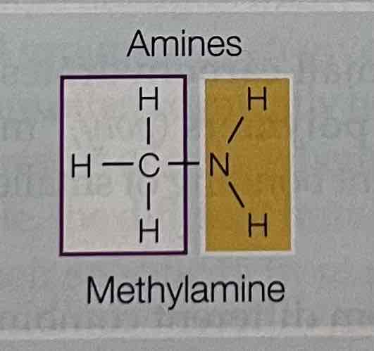 <p>Methylamine</p>